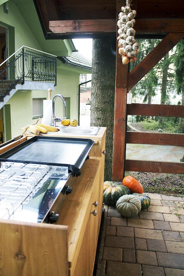 Apartma Pegaz Rogaška Slatina Εξωτερικό φωτογραφία
