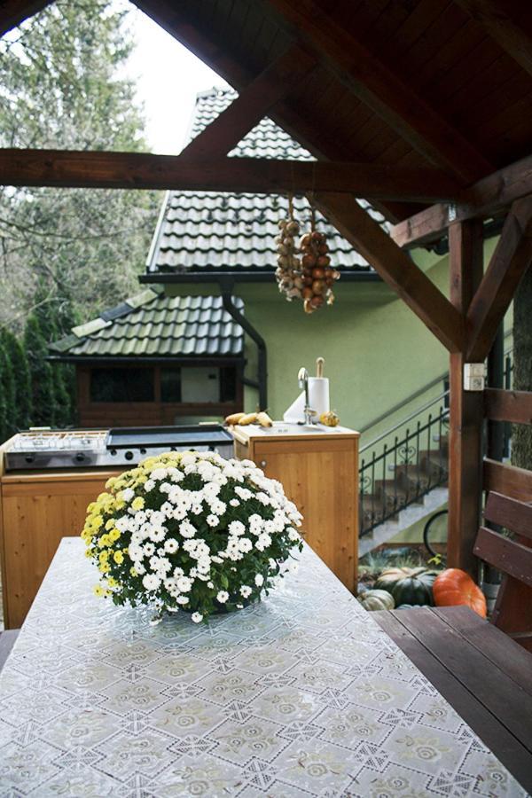Apartma Pegaz Rogaška Slatina Εξωτερικό φωτογραφία